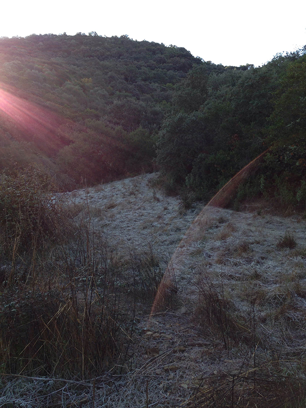 cordoba-minas_villares_3