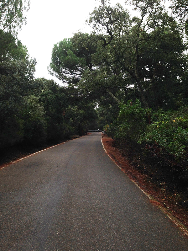 carretera de la gasolinera a las ermitas