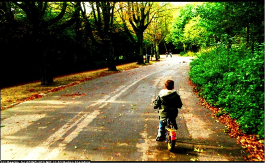 bicicletas_infantiles_7