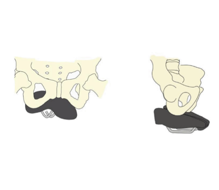 explicación gráfica ventajas del apoyo en un sillín duopower explicación gráfica ventajas sillín duopower