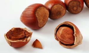 avellanas nutrición deportiva