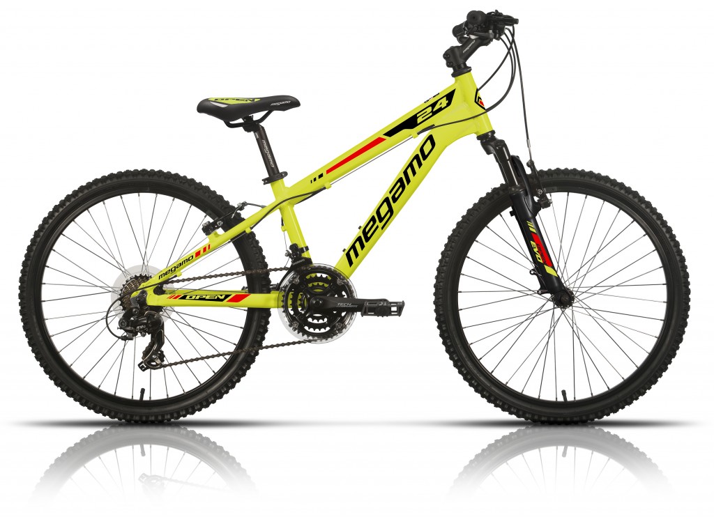 Bicicleta de 24 pulgadas