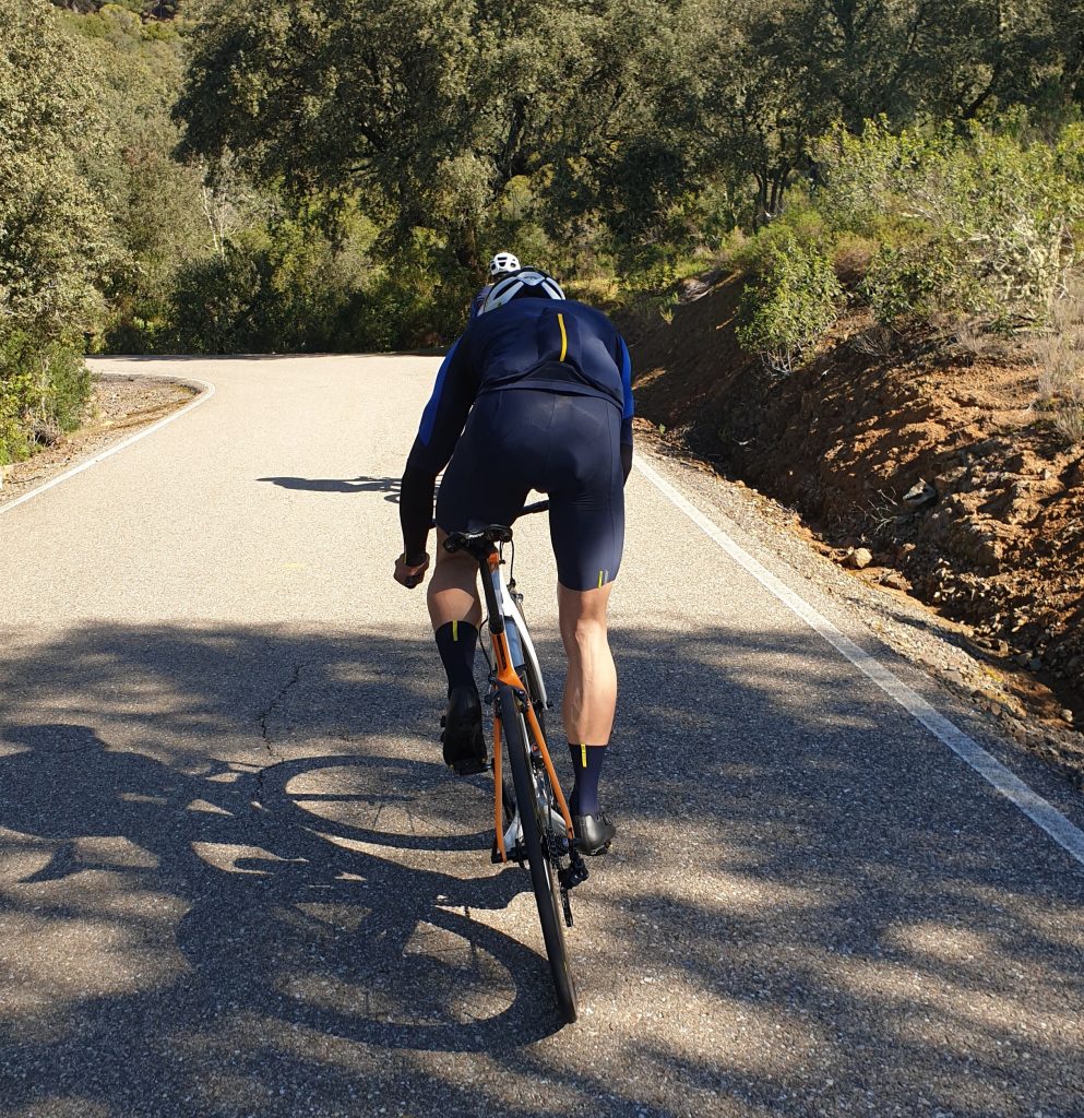 Culote Corto Mavic Cosmic 2019