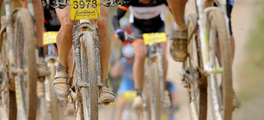 que zapatillas mtb elegir